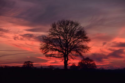 Silhouette bare tree on field against romantic sky at sunset