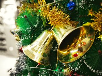 Close-up of christmas tree