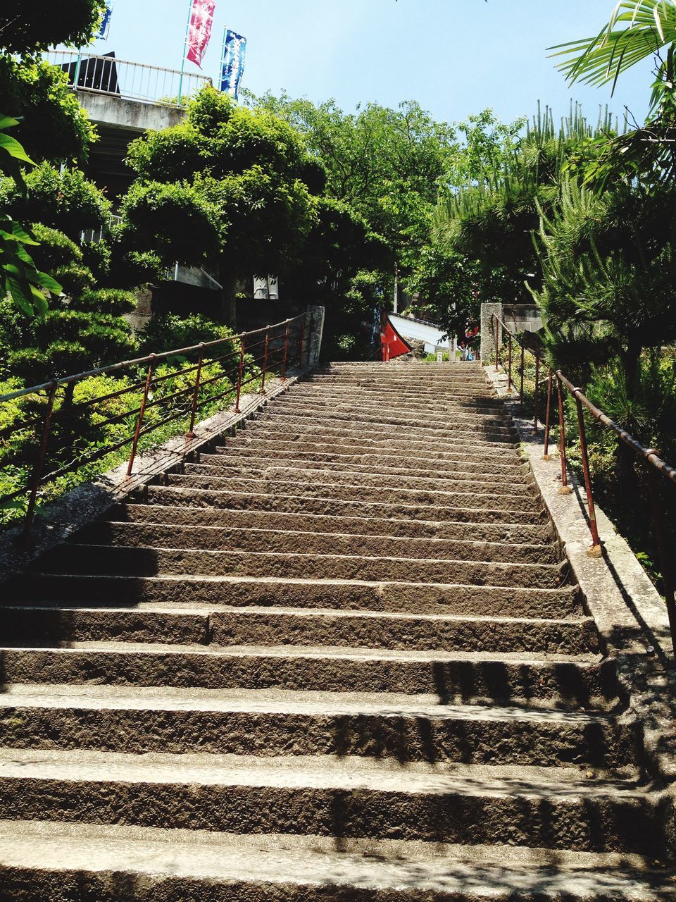 steps, the way forward, steps and staircases, staircase, tree, built structure, architecture, building exterior, stairs, railing, low angle view, sunlight, diminishing perspective, day, sky, leading, outdoors, vanishing point, incidental people, footpath