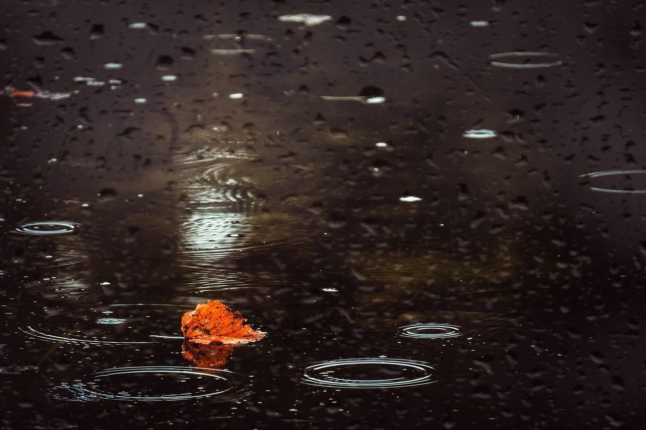 FULL FRAME SHOT OF WET GLASS WITH RAIN DROPS