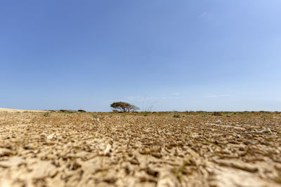 Surface level of land against clear blue sky