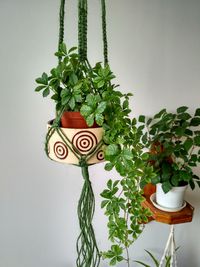 Potted plants hanging against wall