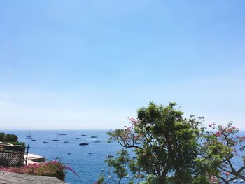 Scenic view of sea against clear blue sky