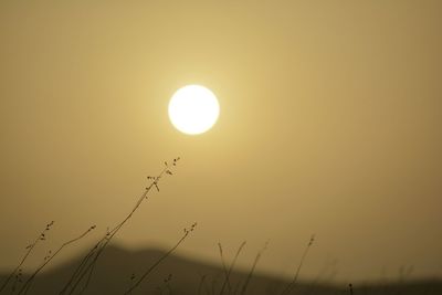 Scenic view of sunset