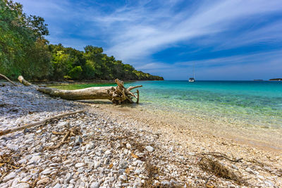 Scenic view of beach against sky