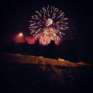 Low angle view of firework display at night