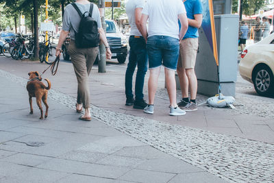 Low section of woman walking with dog on sidewalk in city