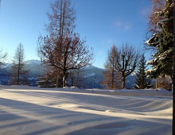 Bare trees by road against sky during winter