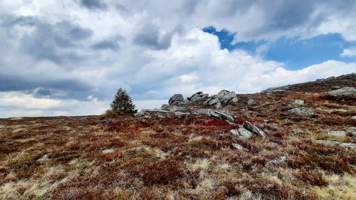 Low angle view of land against sky