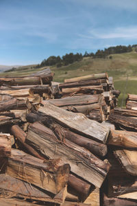 Full frame shot of wood