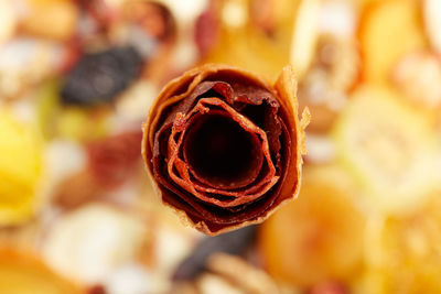 Close-up of rose