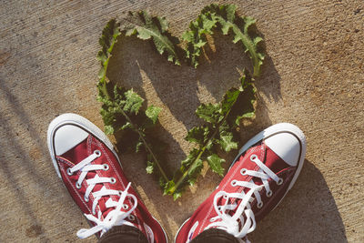 Close-up of shoe by heart shape leaf