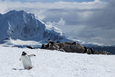Scenic view of frozen sea against sky