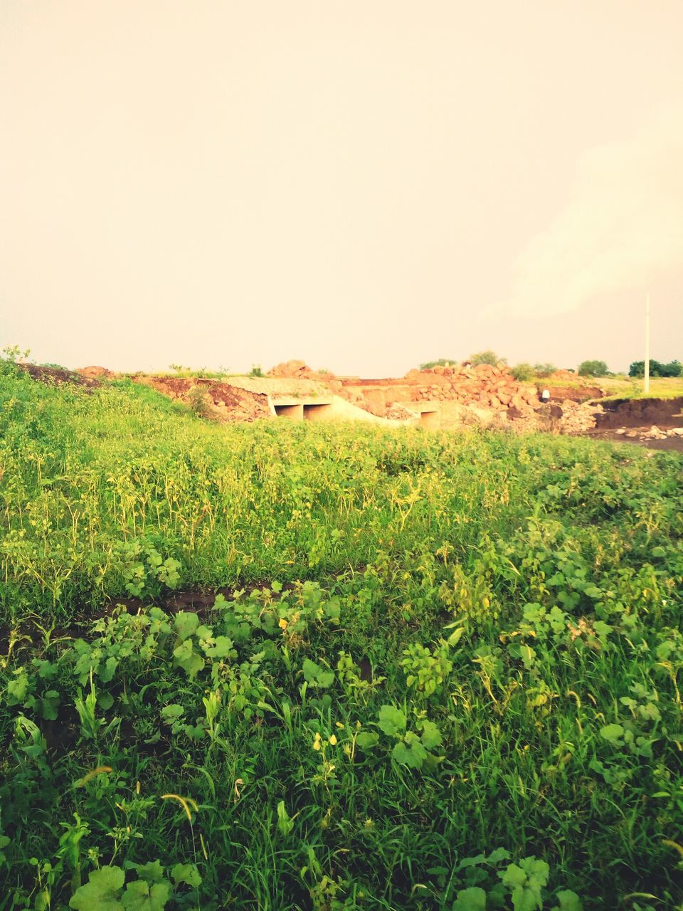 SCENIC VIEW OF RURAL LANDSCAPE AGAINST SKY