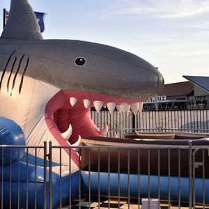 Inflatable shark sculpture at hillarys boat harbor