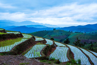 Scenic view of field and mountains against sky