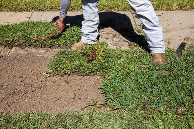 Low section of man working on field