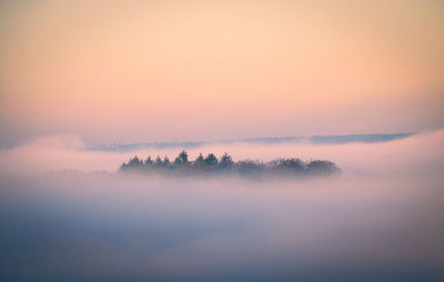 Scenic view of tree against sky at sunset