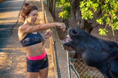 Woman feeding horse by railing
