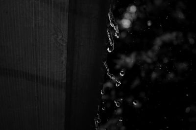 Close-up of raindrops on water drops