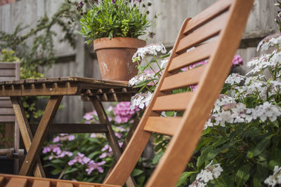 Potted plants on railing