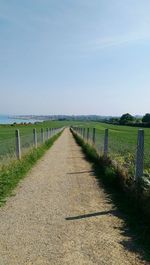 View of field with trees in background