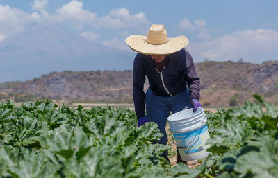 Woman with harvesting in field