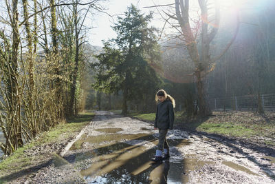 Rear view of man walking on footpath in forest