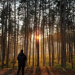 Rear view of man standing by trees in forest