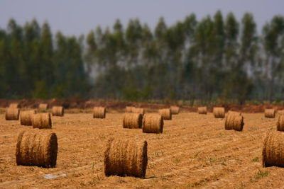 Hay bales on field against sky