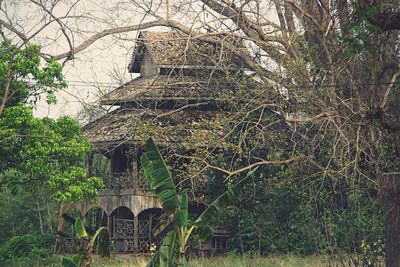 Abandoned built structure on bare trees