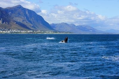 Scenic view of sea and mountains