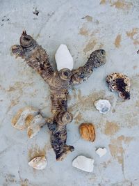 High angle view of an insect on old beach
