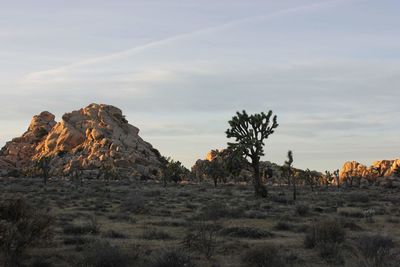 Rock formations on landscape against sky