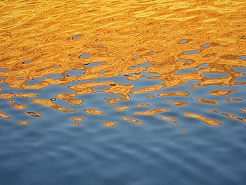 Full frame shot of wet sand