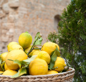 Close-up of lemons in wicker basket against building