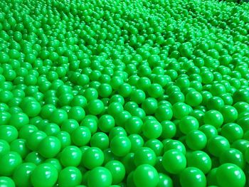 Full frame shot of green beans