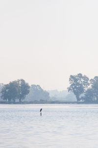 Scenic view of lake against clear sky