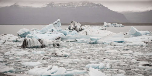 Icebergs in frozen sea 