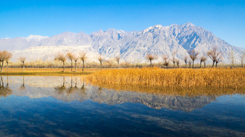 Scenic view of lake against clear blue sky