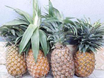 Close-up of fruits