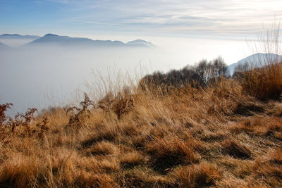 Scenic view of landscape against sky