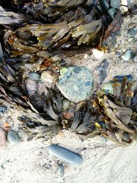 Rocks in sea