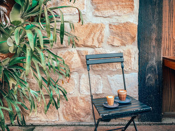 Potted plant on table against wall
