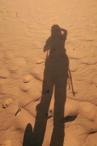 Shadow of people on sand at beach