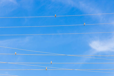 Low angle view of birds perching on cable against sky