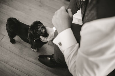 High angle view of dog on hardwood floor