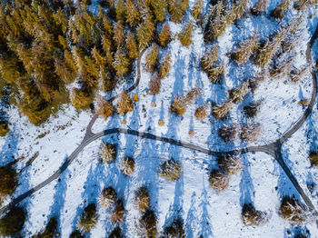 High angle view of snow covered land