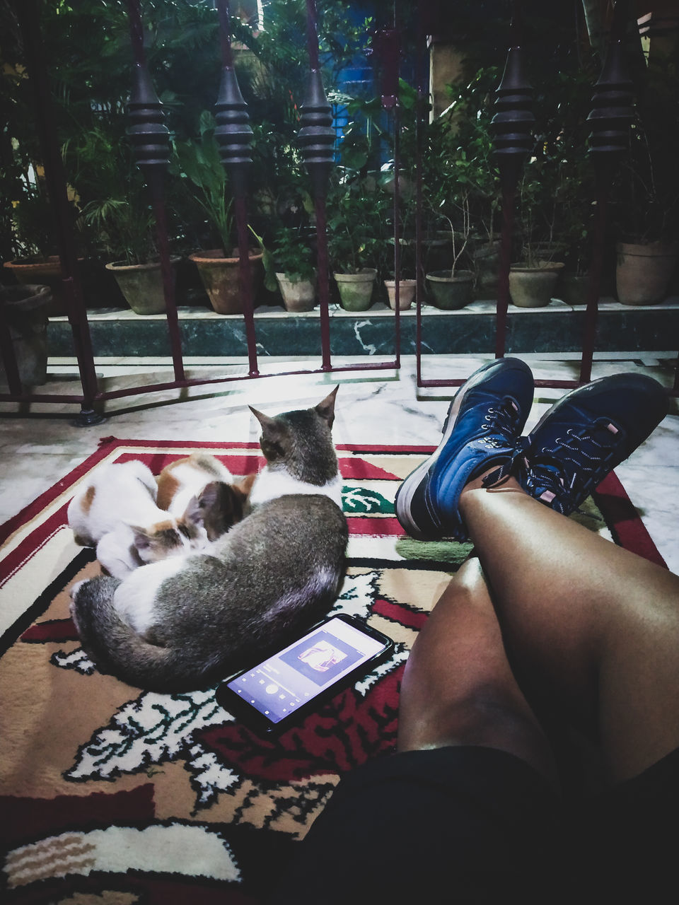 LOW SECTION OF PERSON RELAXING ON FLOOR