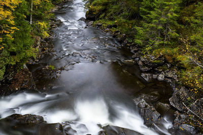 Stream flowing through rocks in forest